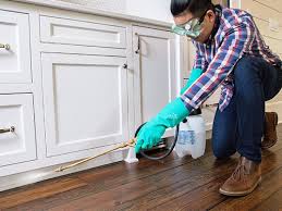 Best Pest Control for Multi-Family Homes  in Cotulla, TX